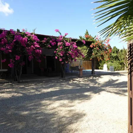 Cortijillo Violeta *